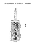 Quasicrystalline Structures and Uses Thereof diagram and image