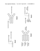 INTEGRATED CIRCUIT MEMS ANTENNA STRUCTURE diagram and image