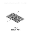 THREE-DIMENSIONAL NETTED VEGETATION BLANKET WITH UPRIGHT LOOPS diagram and image