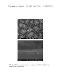 METAL AND METAL OXIDE STRUCTURES AND PREPARATION THEREOF diagram and image