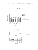 METHODS FOR DETECTING A MYCOBACTERIUM TUBERCULOSIS INFECTION diagram and image