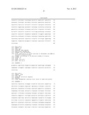 METHOD AND COMPOSITION FOR CREATING CONDITIONAL LETHALITY FOR VIRUS     MUTANTS AND FOR ELIMINATING THE VIABILITY OF AN EUKARYOTIC CELL diagram and image