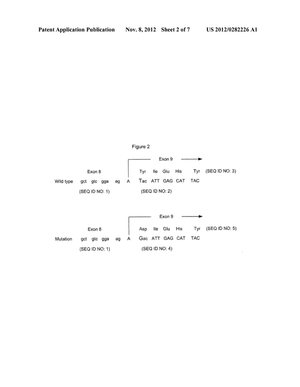 Tissue Products Derived From Animals Lacking Any Expression of Functional     Alpha 1, 3 Galactosyltransferase - diagram, schematic, and image 03