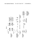 Compositions and methods for antibody and ligand identification diagram and image