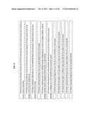 Compositions and methods for antibody and ligand identification diagram and image