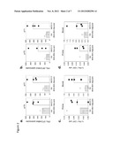 Mycobacterial Vaccines diagram and image