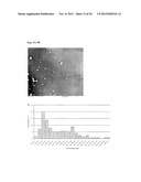 Methods for Promoting the Revascularization and Reenervation of CNS     Lesions diagram and image