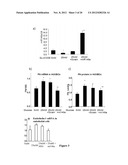 COMPOSITIONS AND METHODS RELATED TO MIRNA IN DIABETIC CONDITIONS diagram and image