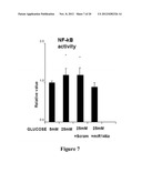 COMPOSITIONS AND METHODS RELATED TO MIRNA IN DIABETIC CONDITIONS diagram and image