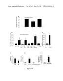 COMPOSITIONS AND METHODS RELATED TO MIRNA IN DIABETIC CONDITIONS diagram and image