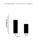 COMPOSITIONS AND METHODS RELATED TO MIRNA IN DIABETIC CONDITIONS diagram and image