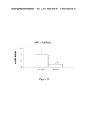 COMPOSITIONS AND METHODS RELATED TO MIRNA IN DIABETIC CONDITIONS diagram and image