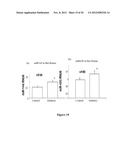 COMPOSITIONS AND METHODS RELATED TO MIRNA IN DIABETIC CONDITIONS diagram and image