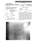 SOL-GEL COATING FOR STEEL AND CAST IRON SUBSTRATES AND METHODS OF MAKING     AND USING SAME diagram and image