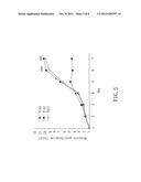 BIOMARKER AND METHOD FOR EVALUATING RISK OF PROLIFERATION, INVASION, OR     METASTASIS OF CANCER diagram and image