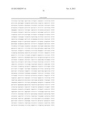 BIOMARKER AND METHOD FOR EVALUATING RISK OF PROLIFERATION, INVASION, OR     METASTASIS OF CANCER diagram and image