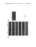 Copy Number Variation Determination, Methods and Systems diagram and image