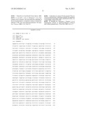 METHODS OF SCREENING FOR COMPOUNDS FOR USE AS MODULATORS OF LEFT-RIGHT     ASYMMETRY IN SCOLIOTIC SUBJECTS AND FOR MONITORING EFFICACY OF AN     ORTHOPAEDIC DEVICE diagram and image