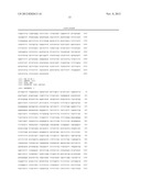 METHODS OF SCREENING FOR COMPOUNDS FOR USE AS MODULATORS OF LEFT-RIGHT     ASYMMETRY IN SCOLIOTIC SUBJECTS AND FOR MONITORING EFFICACY OF AN     ORTHOPAEDIC DEVICE diagram and image