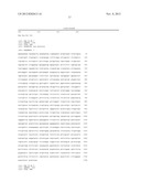 METHODS OF SCREENING FOR COMPOUNDS FOR USE AS MODULATORS OF LEFT-RIGHT     ASYMMETRY IN SCOLIOTIC SUBJECTS AND FOR MONITORING EFFICACY OF AN     ORTHOPAEDIC DEVICE diagram and image