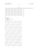 METHODS OF SCREENING FOR COMPOUNDS FOR USE AS MODULATORS OF LEFT-RIGHT     ASYMMETRY IN SCOLIOTIC SUBJECTS AND FOR MONITORING EFFICACY OF AN     ORTHOPAEDIC DEVICE diagram and image