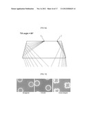 MICROFLUIDIC DEVICE COMPRISING MICROCHANNEL WHERE PROTRUSIONS ARE FORMED     ON BOTTOM SURFACE diagram and image