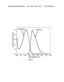 FUNCTIONALIZED CHROMOPHORIC POLYMER DOTS AND BIOCONJUGATES THEREOF diagram and image