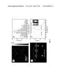 FUNCTIONALIZED CHROMOPHORIC POLYMER DOTS AND BIOCONJUGATES THEREOF diagram and image