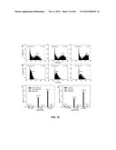 FUNCTIONALIZED CHROMOPHORIC POLYMER DOTS AND BIOCONJUGATES THEREOF diagram and image