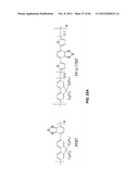 FUNCTIONALIZED CHROMOPHORIC POLYMER DOTS AND BIOCONJUGATES THEREOF diagram and image