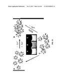 FUNCTIONALIZED CHROMOPHORIC POLYMER DOTS AND BIOCONJUGATES THEREOF diagram and image