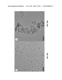 FUNCTIONALIZED CHROMOPHORIC POLYMER DOTS AND BIOCONJUGATES THEREOF diagram and image