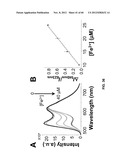 FUNCTIONALIZED CHROMOPHORIC POLYMER DOTS AND BIOCONJUGATES THEREOF diagram and image