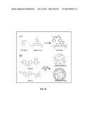 FUNCTIONALIZED CHROMOPHORIC POLYMER DOTS AND BIOCONJUGATES THEREOF diagram and image