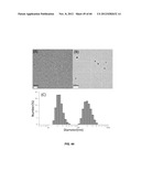 FUNCTIONALIZED CHROMOPHORIC POLYMER DOTS AND BIOCONJUGATES THEREOF diagram and image