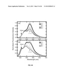 FUNCTIONALIZED CHROMOPHORIC POLYMER DOTS AND BIOCONJUGATES THEREOF diagram and image