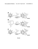 FUNCTIONALIZED CHROMOPHORIC POLYMER DOTS AND BIOCONJUGATES THEREOF diagram and image