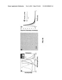 FUNCTIONALIZED CHROMOPHORIC POLYMER DOTS AND BIOCONJUGATES THEREOF diagram and image