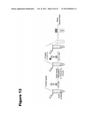 METHODS FOR MEASURING THE METABOLISM OF NEURALLY DERIVED BIOMOLECULES IN     VIVO diagram and image