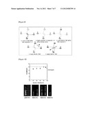 METHOD AND DEVICE FOR DNA SEQUENCE ANALYSIS USING MULTIPLE PNA diagram and image