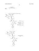 ANTIBACTERIAL AMINOGLYCOSIDE ANALOGS diagram and image