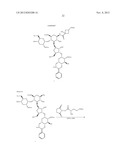 ANTIBACTERIAL AMINOGLYCOSIDE ANALOGS diagram and image