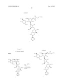 ANTIBACTERIAL AMINOGLYCOSIDE ANALOGS diagram and image