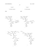 ANTIBACTERIAL AMINOGLYCOSIDE ANALOGS diagram and image