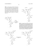 ANTIBACTERIAL AMINOGLYCOSIDE ANALOGS diagram and image