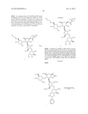 ANTIBACTERIAL AMINOGLYCOSIDE ANALOGS diagram and image