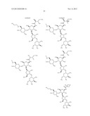 ANTIBACTERIAL AMINOGLYCOSIDE ANALOGS diagram and image