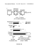 COMPOSITION AND METHOD FOR TREATING COGNITIVE IMPAIRMENTS IN DOWN SYNDROM     SUBJECTS diagram and image