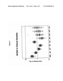 Methods and Compositions for Determining Hypersusceptibility of HIV-1 to     Non-Nucleoside Reverse Transcriptase Inhibitors diagram and image