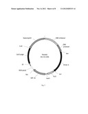 SDF-1 DELIVERY FOR TREATING ISCHEMIC TISSUE diagram and image